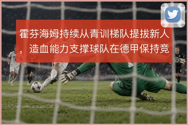 霍芬海姆持续从青训梯队提拔新人,造血能力支撑球队在德甲保持竞争力