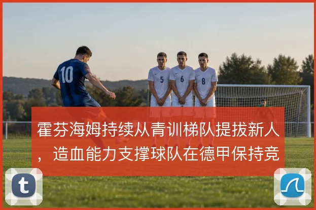 霍芬海姆持续从青训梯队提拔新人,造血能力支撑球队在德甲保持竞争力