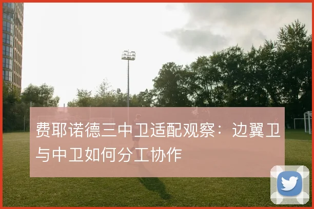 费耶诺德三中卫适配观察:边翼卫与中卫如何分工协作