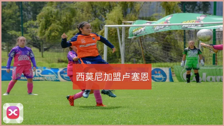 西莫尼加盟卢塞恩